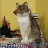 Отзыв от Татьяна Сорокина